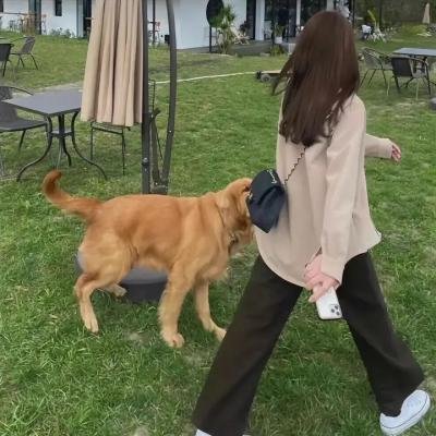 祇园歌女